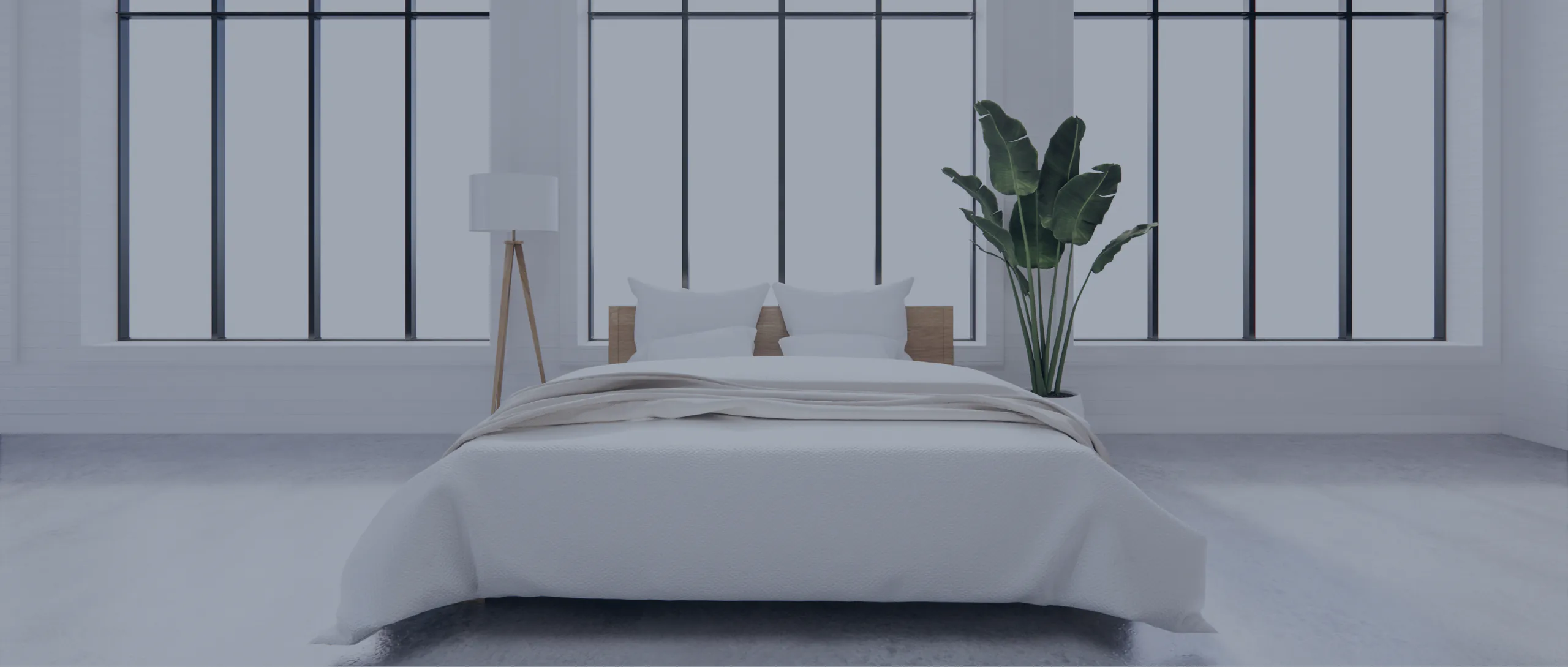 Banner schlafzimmer1 https://aquaribik.de/