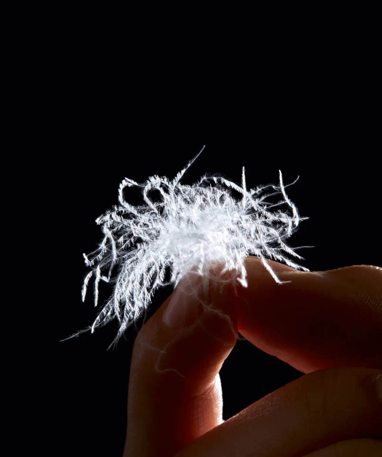 Ganzjahres-Daunendecke LUXUS medium Brinkhaus 6 Ganzjahres-Daunendecke LUXUS medium Brinkhaus – Bild 6