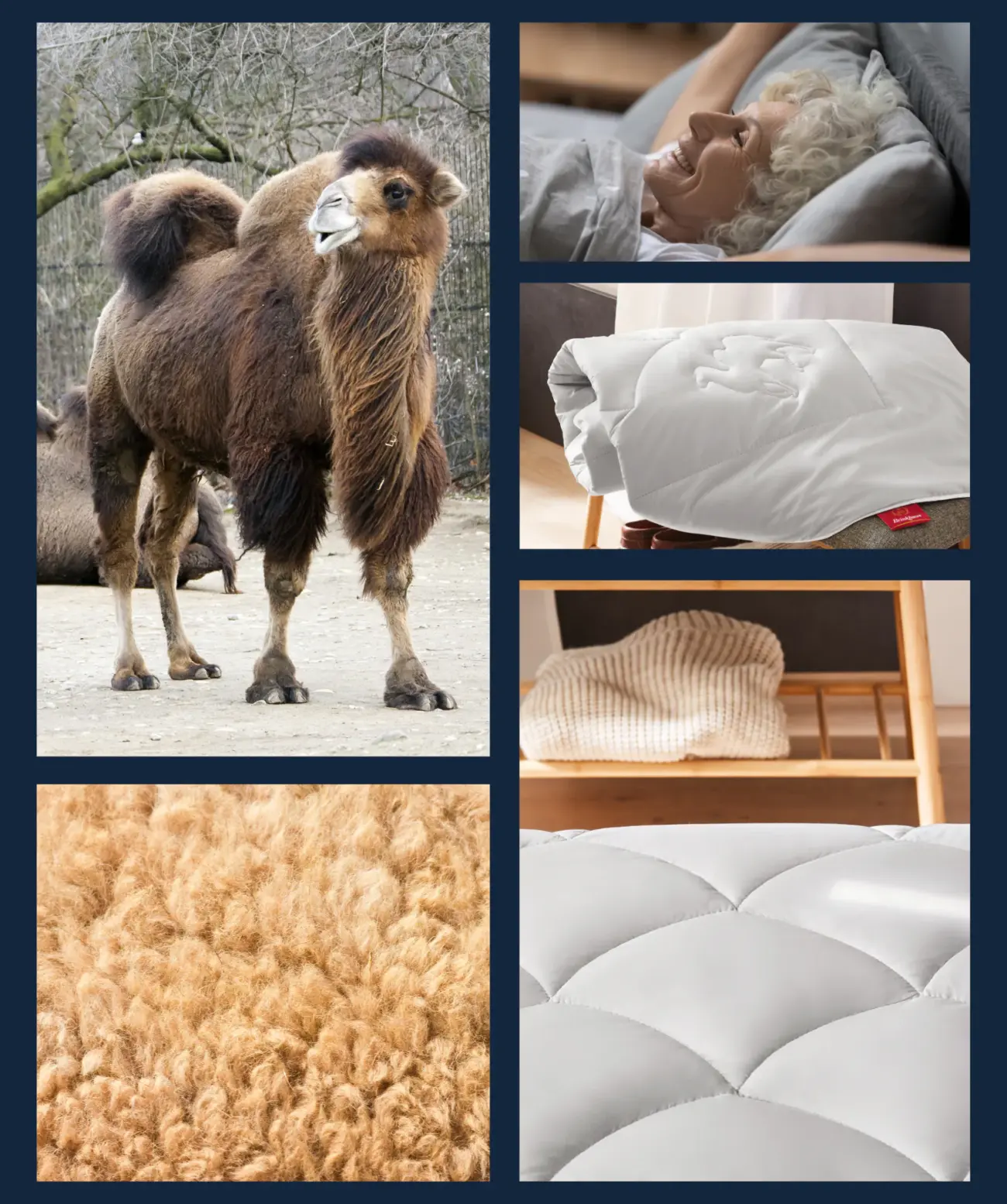 Ganzjahressteppbett Kamelhaar Delhi medium Brinkhaus 5 Ganzjahressteppbett Kamelhaar Delhi medium Brinkhaus – Bild 5