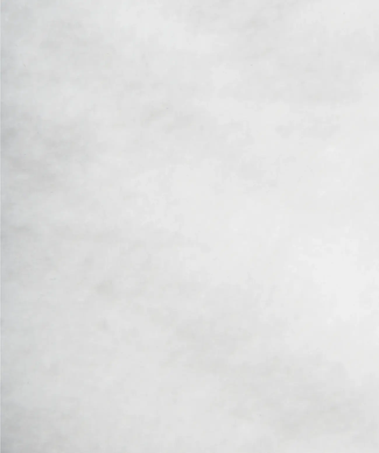 Bella Donna Edel-Molton Kissenschonbezug 2 Bella Donna Edel-Molton Kissenschonbezug – Bild 2